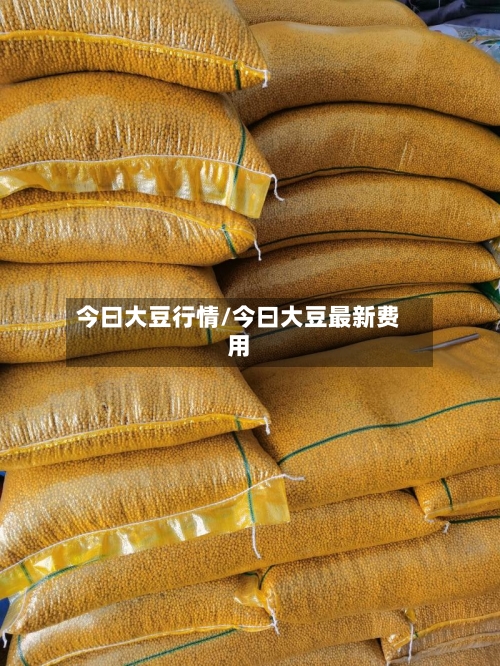今曰大豆行情/今曰大豆最新费用-第1张图片