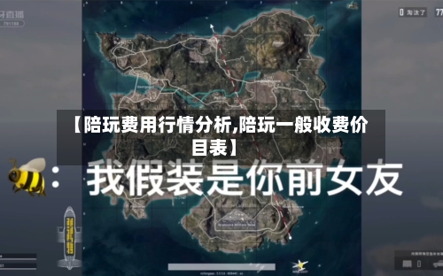 【陪玩费用行情分析,陪玩一般收费价目表】-第1张图片