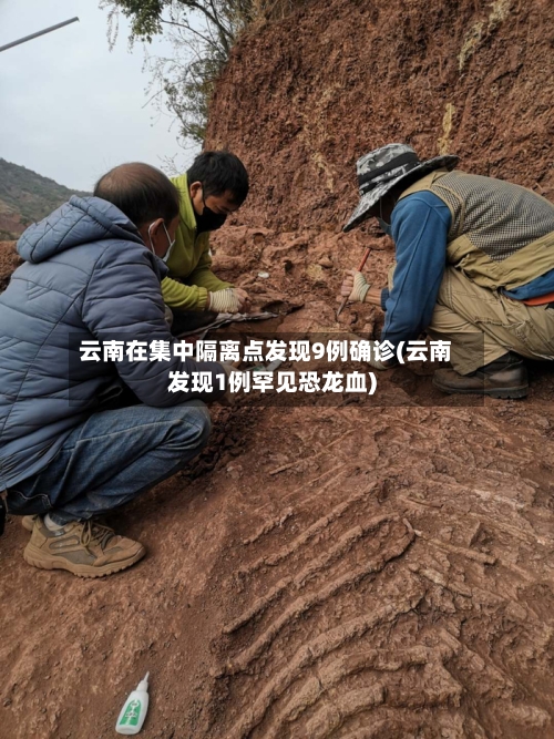 云南在集中隔离点发现9例确诊(云南发现1例罕见恐龙血)-第2张图片
