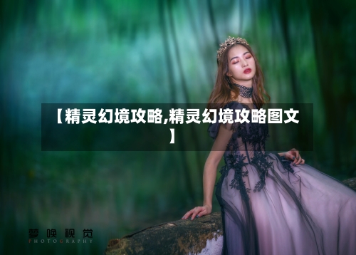【精灵幻境攻略,精灵幻境攻略图文】-第1张图片