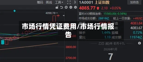 市场行情凭证费用/市场行情报告-第3张图片