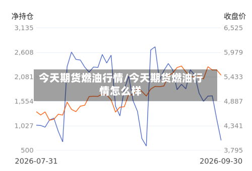 今天期货燃油行情/今天期货燃油行情怎么样-第1张图片