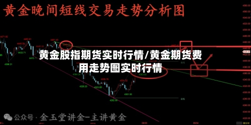 黄金股指期货实时行情/黄金期货费用走势图实时行情-第1张图片