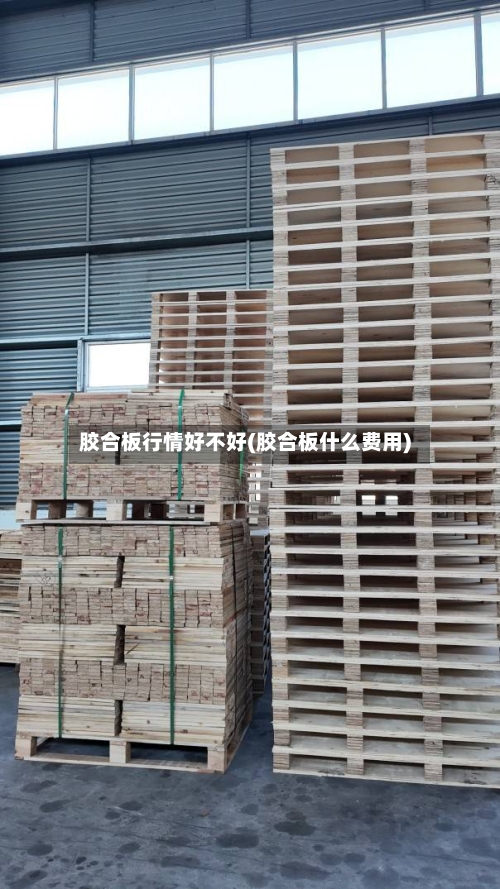 胶合板行情好不好(胶合板什么费用)