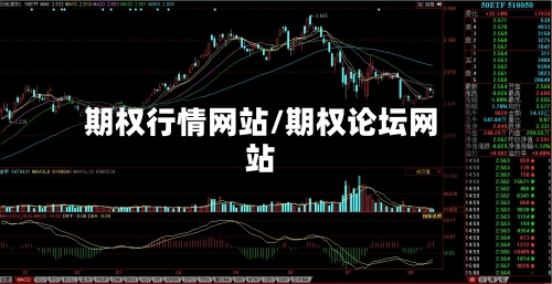 期权行情网站/期权论坛网站-第1张图片