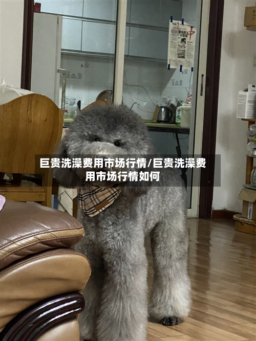 巨贵洗澡费用市场行情/巨贵洗澡费用市场行情如何-第1张图片