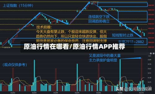 原油行情在哪看/原油行情APP推荐-第3张图片