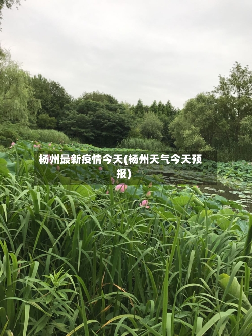 杨州最新疫情今天(杨州天气今天预报)-第1张图片