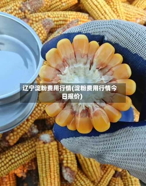 辽宁淀粉费用行情(淀粉费用行情今日报价)-第1张图片