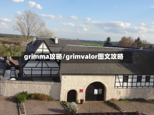 grimma攻略/grimvalor图文攻略-第1张图片