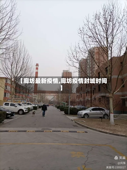 【廊坊最新疫情,廊坊疫情封城时间】-第3张图片