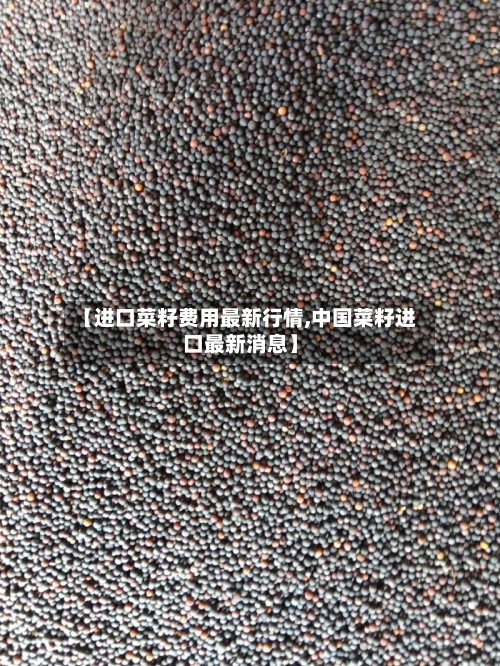【进口菜籽费用最新行情,中国菜籽进口最新消息】-第2张图片