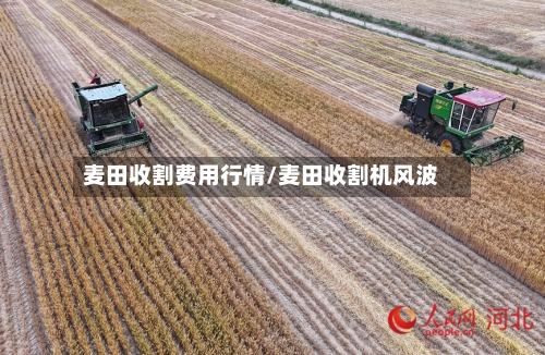 麦田收割费用行情/麦田收割机风波-第2张图片