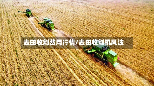 麦田收割费用行情/麦田收割机风波-第3张图片