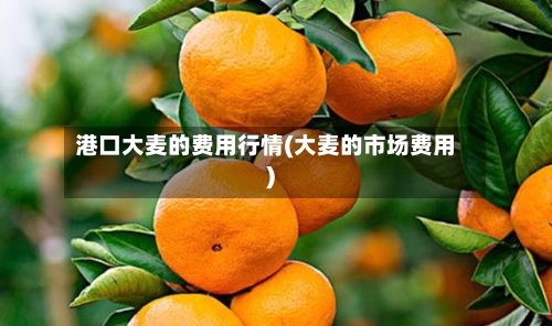 港口大麦的费用行情(大麦的市场费用)