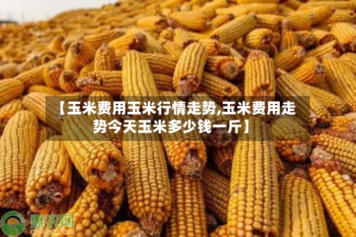 【玉米费用玉米行情走势,玉米费用走势今天玉米多少钱一斤】-第1张图片