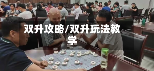 双升攻略/双升玩法教学-第1张图片