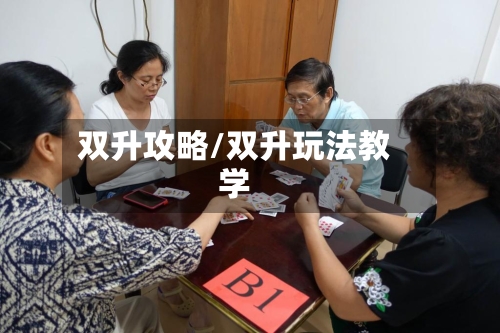 双升攻略/双升玩法教学-第2张图片