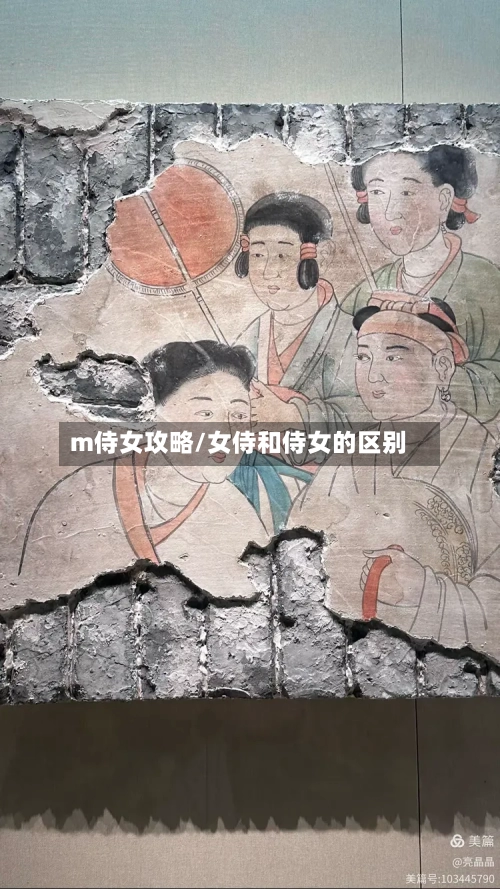 m侍女攻略/女侍和侍女的区别-第2张图片