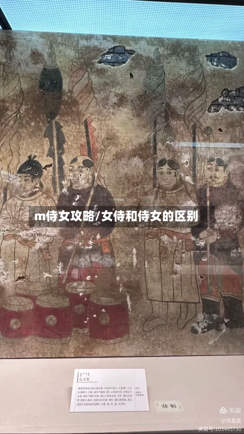 m侍女攻略/女侍和侍女的区别-第1张图片