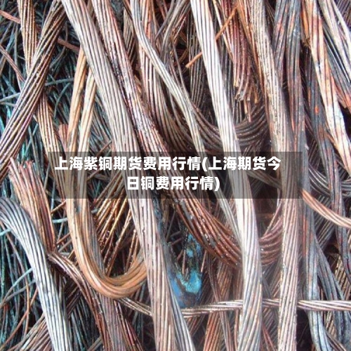 上海紫铜期货费用行情(上海期货今日铜费用行情)-第1张图片