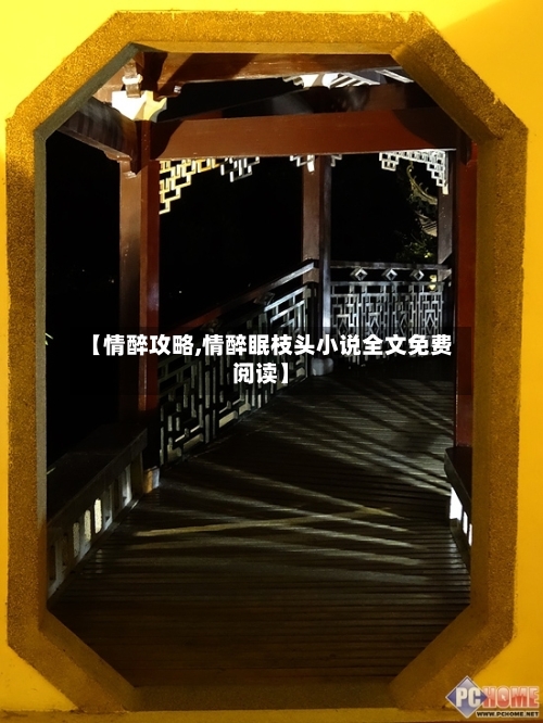 【情醉攻略,情醉眠枝头小说全文免费阅读】-第1张图片