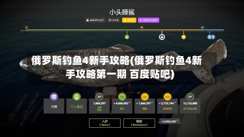 俄罗斯钓鱼4新手攻略(俄罗斯钓鱼4新手攻略第一期 百度贴吧)-第1张图片