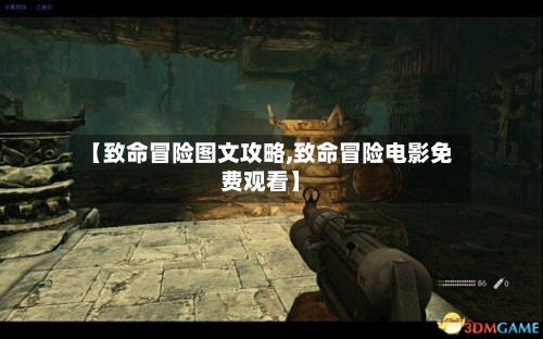 【致命冒险图文攻略,致命冒险电影免费观看】-第2张图片