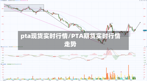 pta现货实时行情/PTA期货实时行情走势-第1张图片