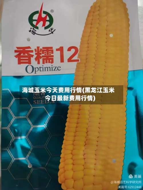 海城玉米今天费用行情(黑龙江玉米今日最新费用行情)
