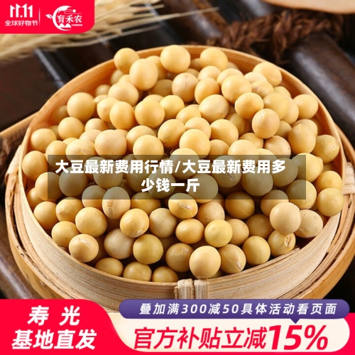 大豆最新费用行情/大豆最新费用多少钱一斤-第1张图片