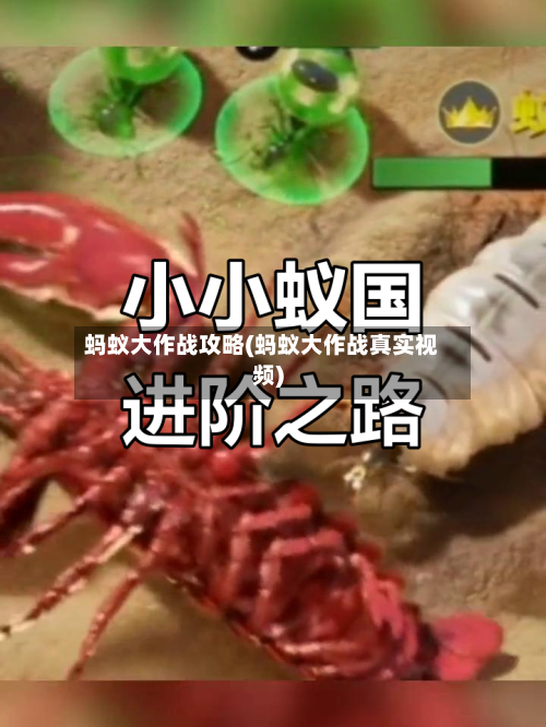 蚂蚁大作战攻略(蚂蚁大作战真实视频)