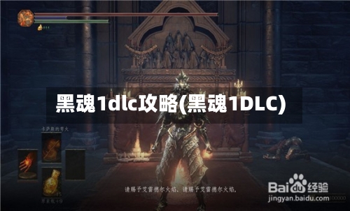 黑魂1dlc攻略(黑魂1DLC)-第2张图片