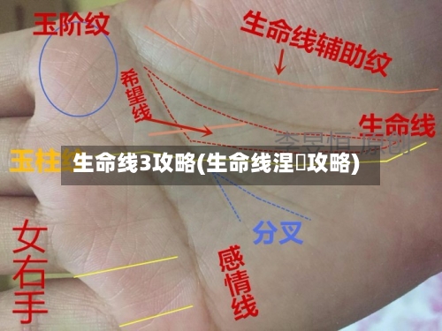 生命线3攻略(生命线涅槃攻略)-第1张图片