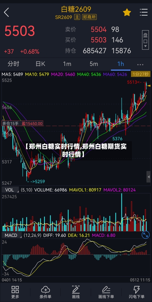 【郑州白糖实时行情,郑州白糖期货实时行情】-第1张图片