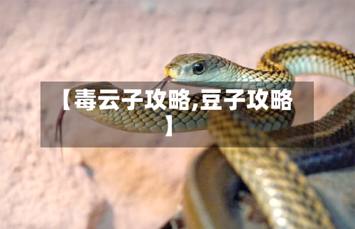 【毒云子攻略,豆子攻略】-第1张图片