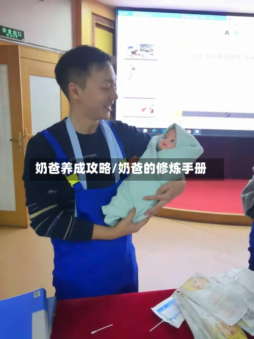 奶爸养成攻略/奶爸的修炼手册-第1张图片