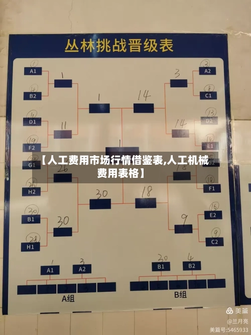 【人工费用市场行情借鉴表,人工机械费用表格】