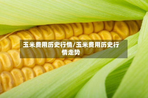 玉米费用历史行情/玉米费用历史行情走势-第1张图片