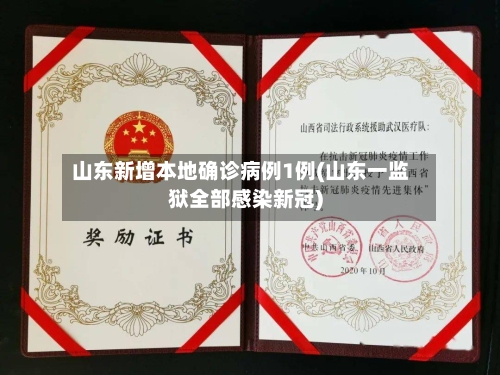 山东新增本地确诊病例1例(山东一监狱全部感染新冠)-第2张图片