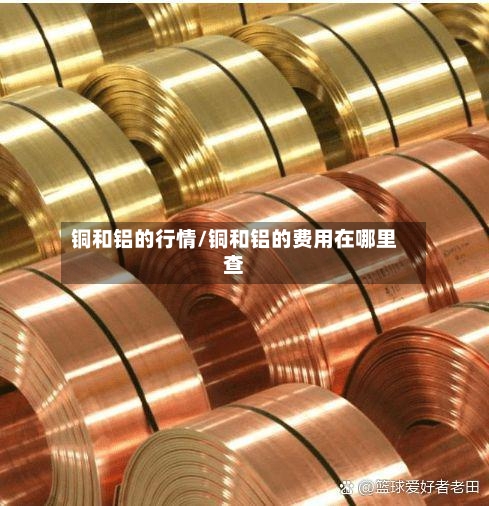 铜和铝的行情/铜和铝的费用在哪里查-第1张图片