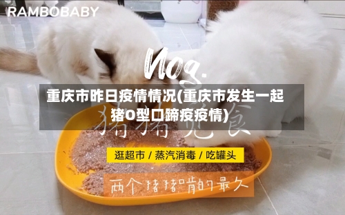重庆市昨日疫情情况(重庆市发生一起猪O型口蹄疫疫情)