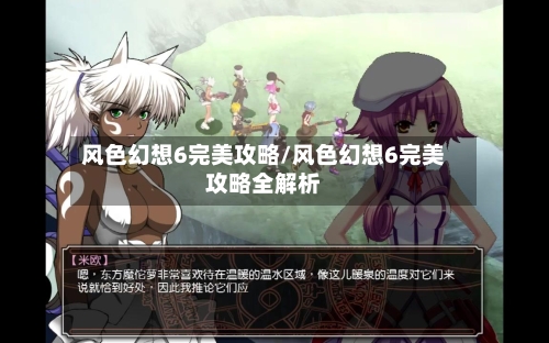 风色幻想6完美攻略/风色幻想6完美攻略全解析-第1张图片