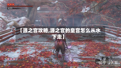 【源之宫攻略,源之宫的皇宫怎么从水下走】-第1张图片