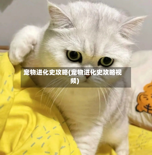 宠物进化史攻略(宠物进化史攻略视频)-第3张图片
