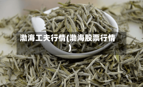 渤海工夫行情(渤海股票行情)