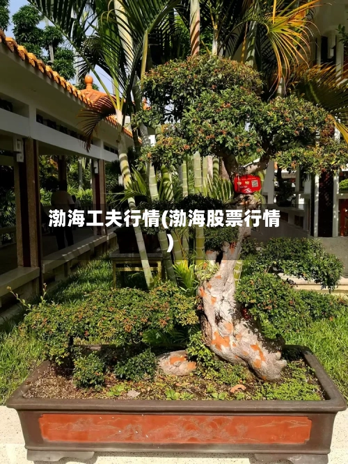 渤海工夫行情(渤海股票行情)-第2张图片