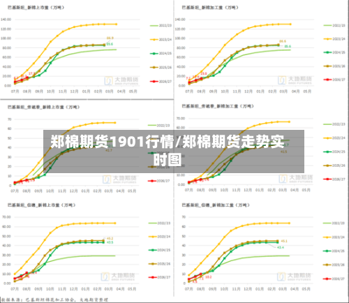 郑棉期货1901行情/郑棉期货走势实时图-第2张图片