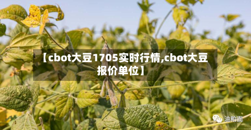 【cbot大豆1705实时行情,cbot大豆报价单位】-第1张图片