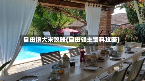 自由镇大米攻略(自由领主饲料攻略)-第1张图片